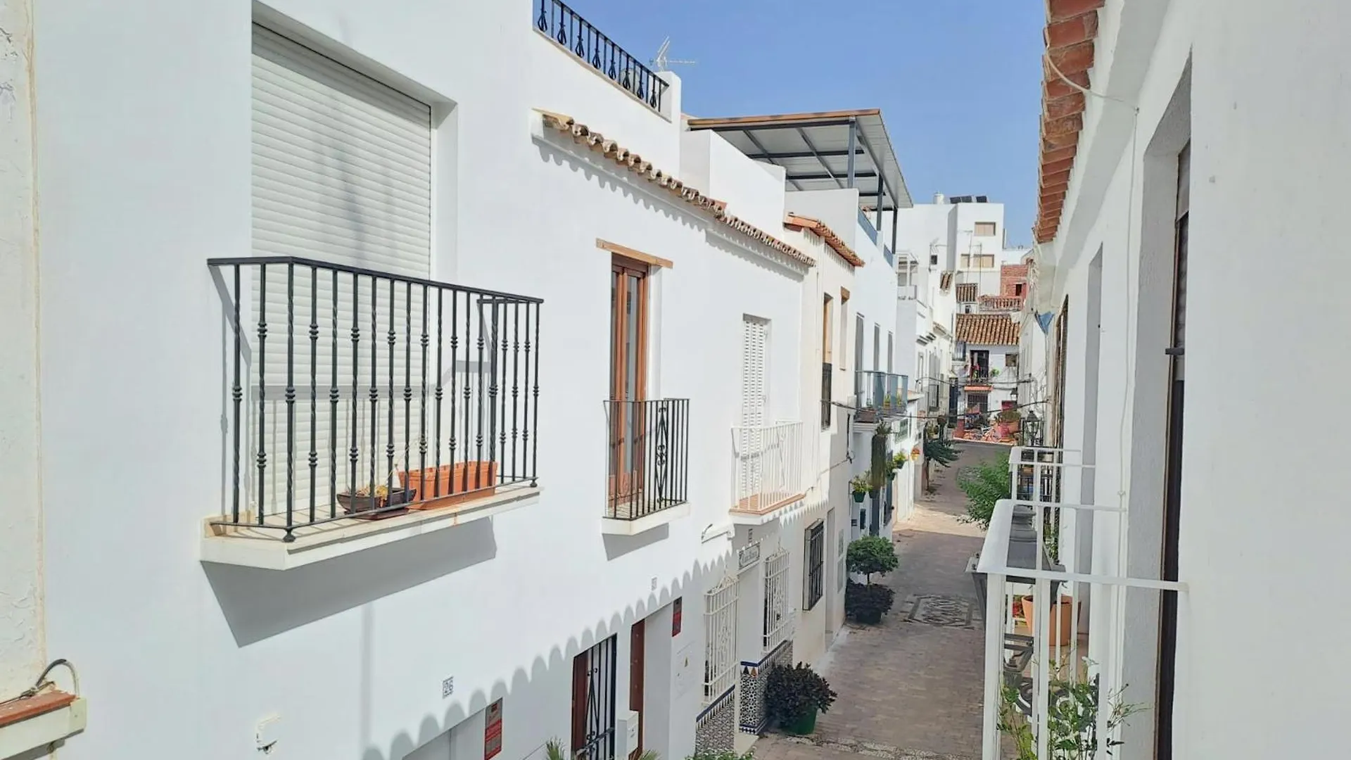 Noctua Estepona Old Town 025 스페인